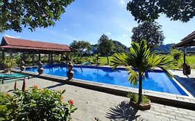 Tam Coc Mr Loa Homestay